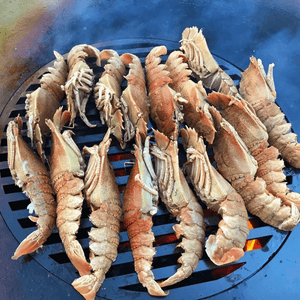 ArteFlame Arteflame Grill Grates