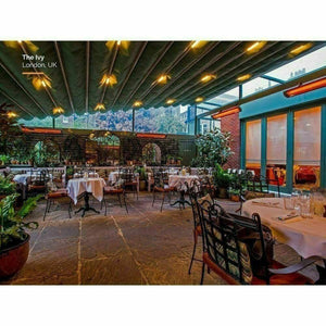 Bromic heating Patio heater 2