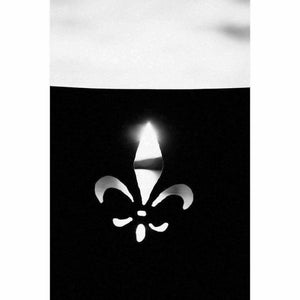 Fire Pit Art Fire Pit Fire Pit Art Fleur de Lis