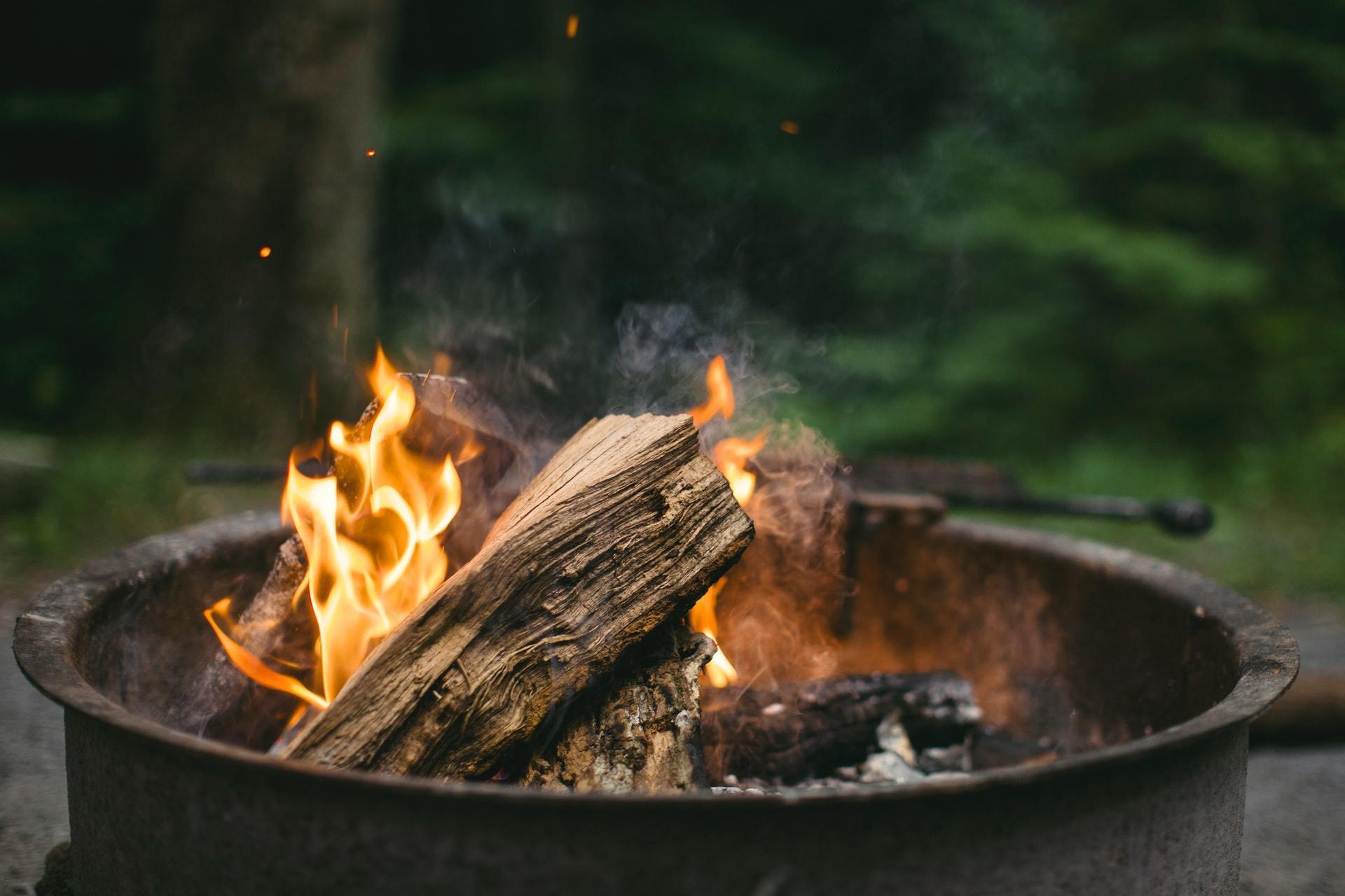 Can I Burn Any Wood in My Fire Pit - Mancave Backyard