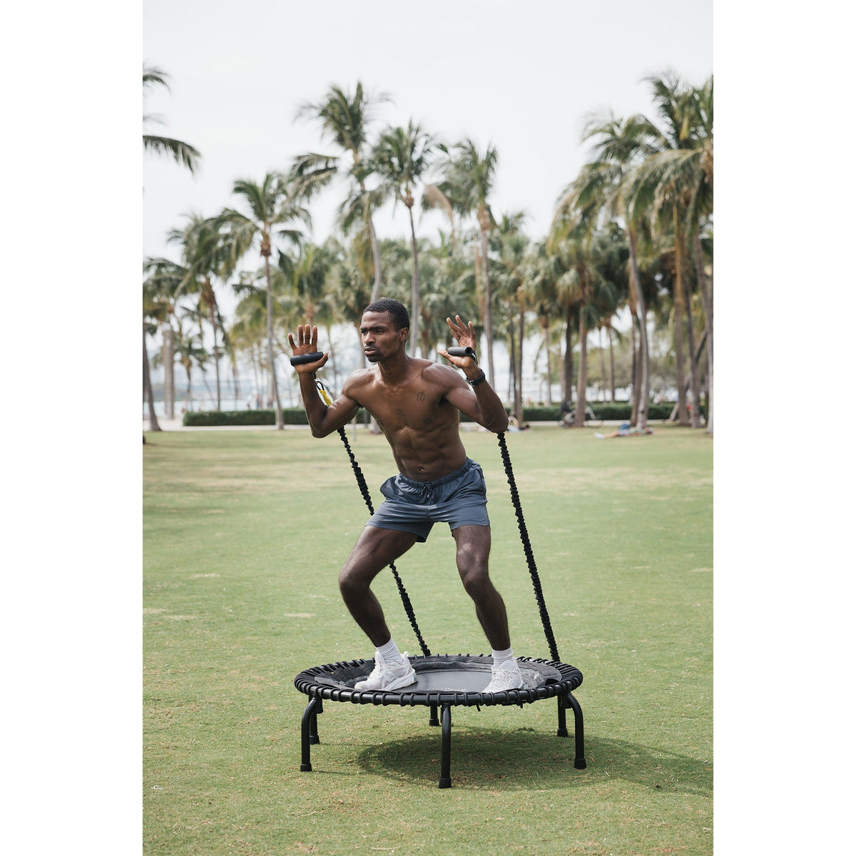 Disc-O-Bed JumpSport 44" ESSENTIAL Fitness Trampoline | Model 430  | 3-piece Frame | Home Series for Adults - 168421