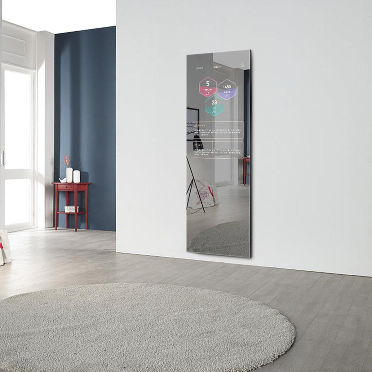 Aquadom Energy 24" X 71" Smart Fitness Mirror - NRG-2471