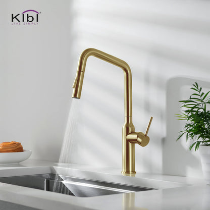 Kibi Macon Single Handle High Arc Pull Down Kitchen Faucet in Brushed Gold Finish - KKF2007BG