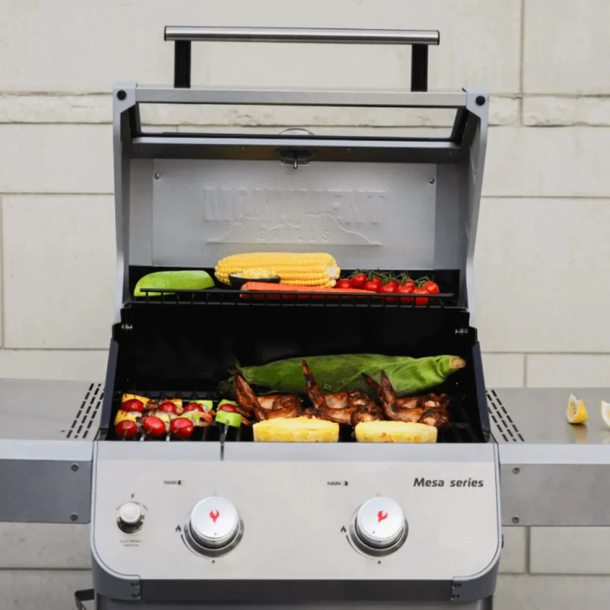Monument Grills Mesa 200S Series | 2 Burner Propane Gas Grill in Stainless Steel - M200S