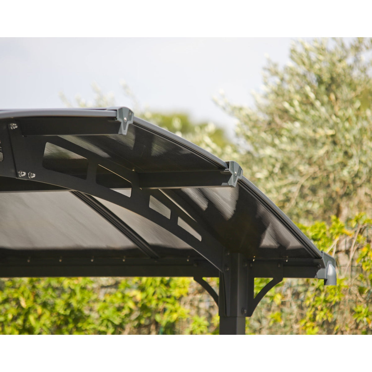 Palram - Canopia | Arcadia 5000 Carport 12x42x8 ft - HG9123