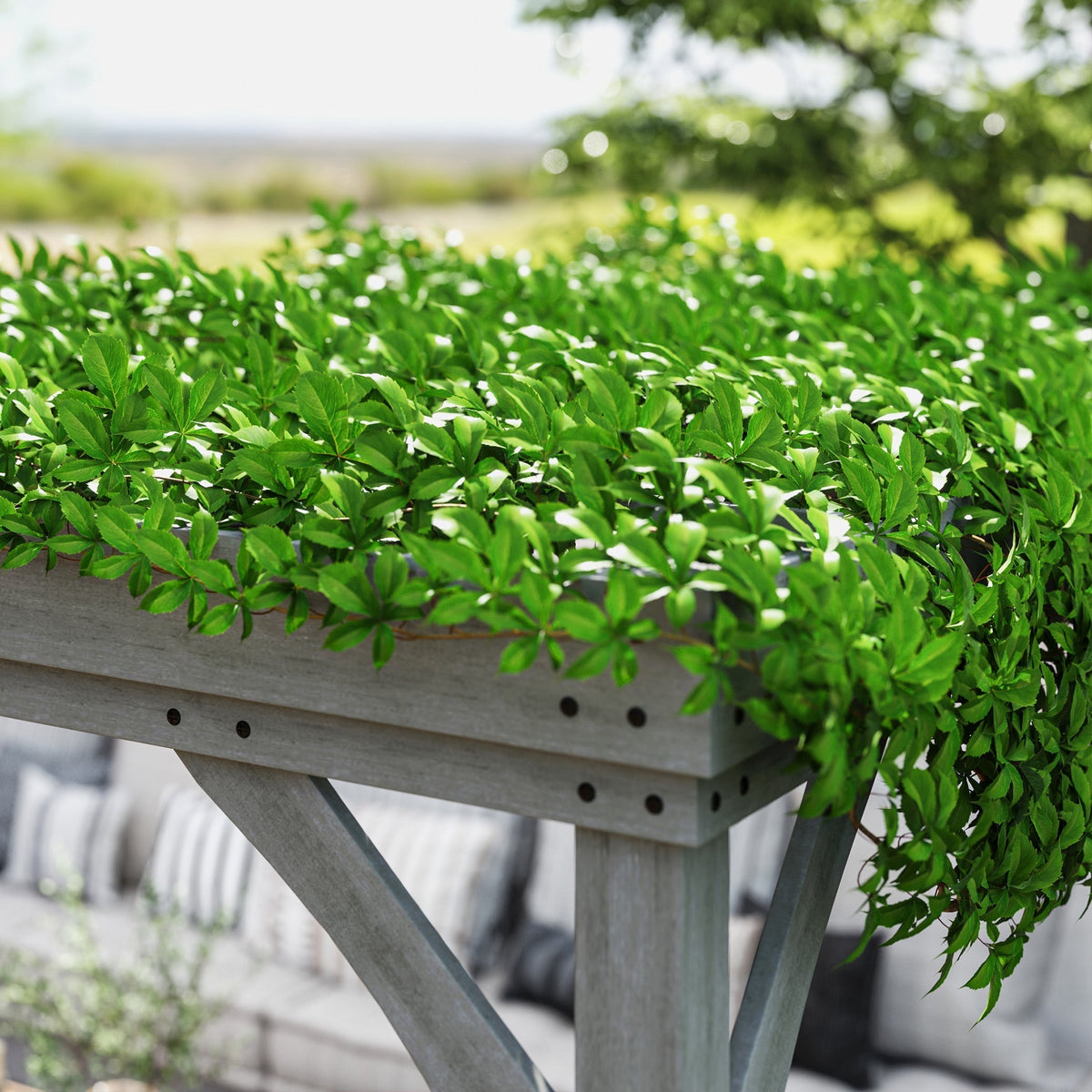 12' x 20' Wooden Pergola with Grape Vine Design & Concrete Anchors, Gray