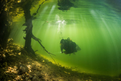 Zeagle Ranger LTD GREY BCD w/ Rip Cord System - BCD235 01-XS-GRY