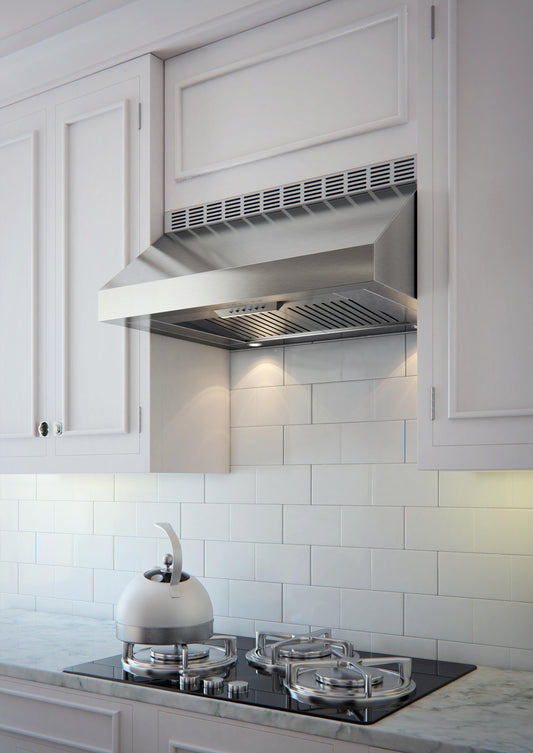 XO APPLIANCE XOT24SC 24" CCC 600/395 CFM Italian Made Pro Hood Range Hood in Stainless Steel