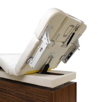 Touch America Embrace Electric Massage Table (With Cabinet) - 11381-CAB-07