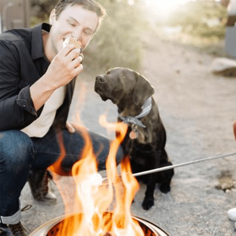 Solo Stove Ranger Stand Shelter 2.0 Mancave Backyard