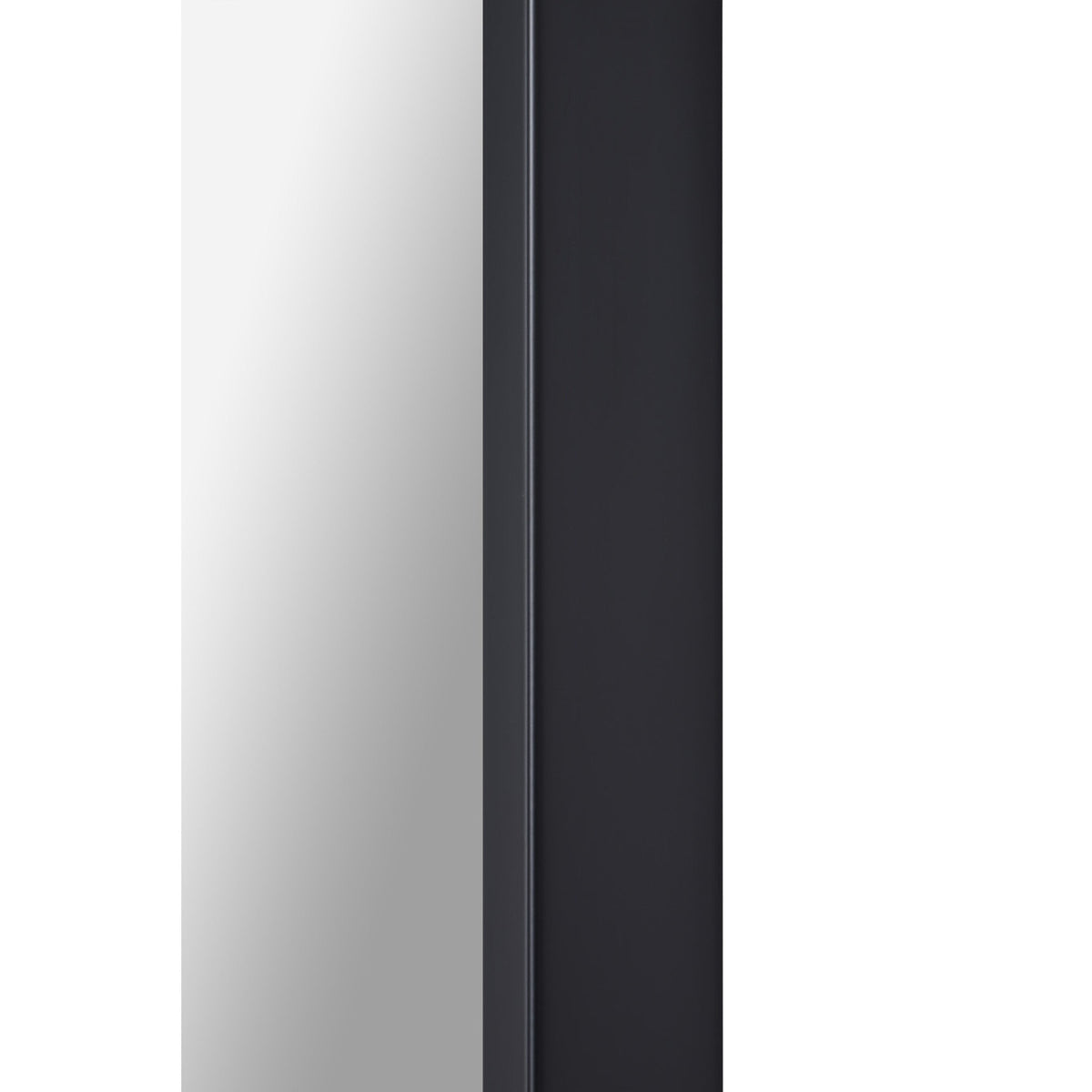 RenWil Keene Rectangular Mirror NDD22M010 - MT2499