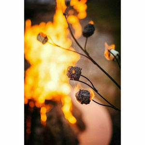 Marshmallow Roasting Art - Mancave Backyard