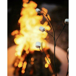 Marshmallow Roasting Art - Mancave Backyard